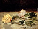 Two Roses On A Tablecloth